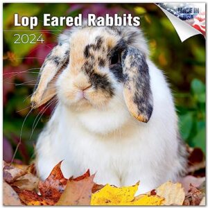 2023 2024 lop eared rabbit calendar - cute animal monthly wall calendar - 12 x 24 open - thick no-bleed paper - giftable - academic teacher's planner calendar organizing & planning
