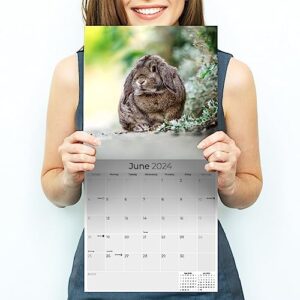 2023 2024 Lop Eared Rabbit Calendar - Cute Animal Monthly Wall Calendar - 12 x 24 Open - Thick No-Bleed Paper - Giftable - Academic Teacher's Planner Calendar Organizing & Planning