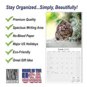 2023 2024 Lop Eared Rabbit Calendar - Cute Animal Monthly Wall Calendar - 12 x 24 Open - Thick No-Bleed Paper - Giftable - Academic Teacher's Planner Calendar Organizing & Planning