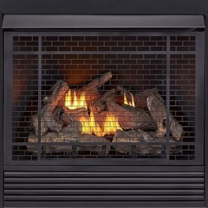 Duluth Forge Dual Fuel Ventless Gas Fireplace Insert, Remote Control, 9 Fire Logs, Use with Natural Gas or Liquid Propane, 32000 BTU, Heats up to 1500 Sq. Ft., Black