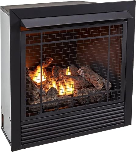 Duluth Forge Dual Fuel Ventless Gas Fireplace Insert, Remote Control, 9 Fire Logs, Use with Natural Gas or Liquid Propane, 32000 BTU, Heats up to 1500 Sq. Ft., Black