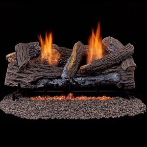 Duluth Forge DLS-24R-2 Dual Fuel Ventless Fireplace Logs Set with Remote Control, Use with Natural Gas or Liquid Propane, 33000 BTU, Stacked Red Oak, 24 Inches