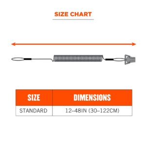 Ergodyne Coiled Lanyard with Clamp End, No Snag Design, Easily Attaches to Hard Hat, Tools, or Small Valuables, Weight Capacity 2lbs, Ergodyne Squids 3158, Black