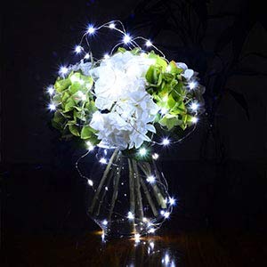 XINKAITE 30 Micro LEDs on 10Feet/3M Fairy Silver Wire Battery Operated String Lights for Wedding Party Christmas Table Decorations, Cold White