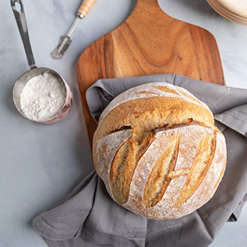 Cultures for Health Gluten Free Sourdough Starter | Heirloom Dehydrated Culture for Baking Gluten Free Bread | DIY Gluten Free Pasta, Pizza Dough, Pie Crust, & More | Non-GMO Prebiotic Sourdough Bread