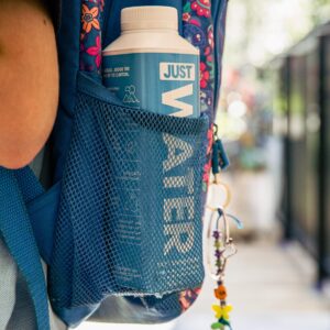 JUST Water, Premium Pure Still Spring Water in an Eco-Friendly BPA Free Plant-Based Bottle - Naturally Alkaline, High 8.0 pH - Fully Recyclable Boxed Carton, 16.9 Fl Oz (Pack of 12)