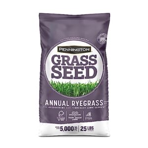 pennington annual ryegrass retail bag to overseed warm season grasses, 25 lb