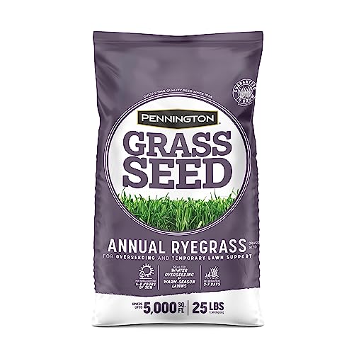 Pennington Annual Ryegrass Retail Bag to Overseed Warm Season Grasses, 25 lb