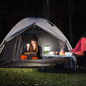 LE LED Camping Lantern Rechargeable, 600LM, Detachable Flashlight, Camping Essentials, Perfect Lantern Flashlight for Hurricane Emergency, Hiking, Fishing and More, USB Cable and Car Charger Included