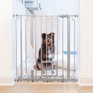 carlson extra tall walk through pet gate with small pet door, includes 4-inch extension kit, 4 pack pressure mount kit and 4 pack wall mount kit, platinum, gray