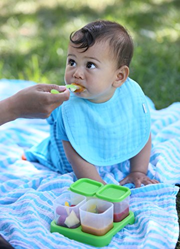 green sprouts Fresh Baby Food Unbreakable Cubes (4oz/4pk) | Store, carry, & serve homemade baby food | Lid provides leak-proof seal, Made from safer plastic, Embossed with measurements