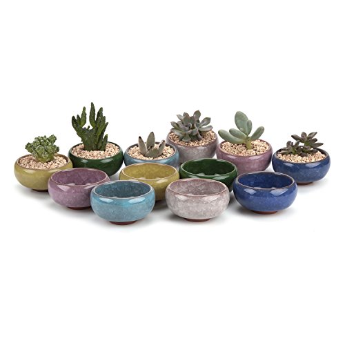 T4U 2.5 Inch Small Ceramic Succulent Planter Pot with Drainage Hole Set of 12, Ice Crack Glaze Porcelain Handicraft Plant Container Gift for Mom Sister Aunt Best for Home Office Desk Decoration