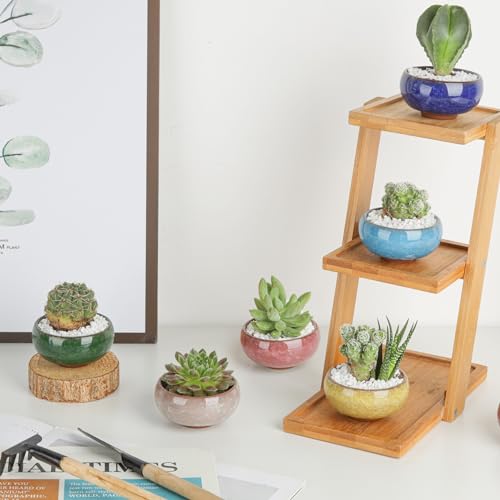 T4U 2.5 Inch Small Ceramic Succulent Planter Pot with Drainage Hole Set of 12, Ice Crack Glaze Porcelain Handicraft Plant Container Gift for Mom Sister Aunt Best for Home Office Desk Decoration