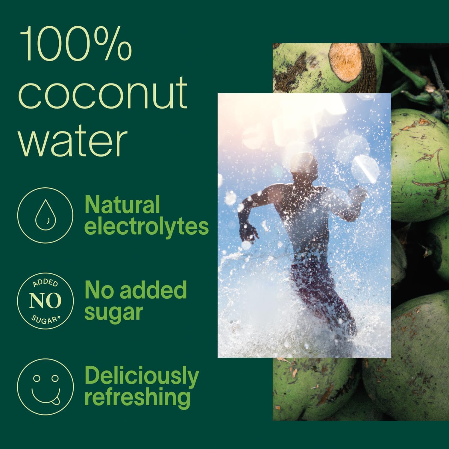 Zico 100% Coconut Water, NO added Sugar, Refreshingly Delicious, Hydration with Electrolytes, 16.9 Fl Oz (Pack of 12)