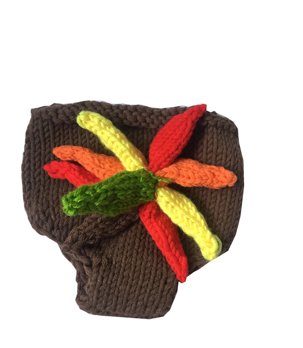 Ufraky Baby Turkey Knitted Crochet Hat Diaper Newborn Infant Photography Prop Costumes(Turkey)