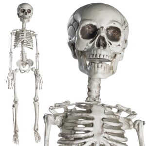 prextex skeleton halloween & day of the dead decoration for home and office - 19 inch posable plastic small skeleton toy halloween décor with movable / bendable joints and 2 sets of body accessories