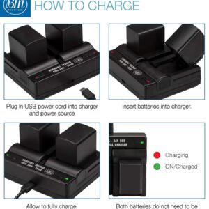 BM 2 BP-820 Batteries and Dual Battery Charger for Canon VIXIA HF G50, HF G60, HF G70, XA40, XA45, XA50, XA55, HFG30, HFG40, HFM301, HFM41, HFM400, XA10, XA11, XA15, XA20, XA25, XA60, XA65, XA70, XA75