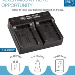 BM 2 BP-820 Batteries and Dual Battery Charger for Canon VIXIA HF G50, HF G60, HF G70, XA40, XA45, XA50, XA55, HFG30, HFG40, HFM301, HFM41, HFM400, XA10, XA11, XA15, XA20, XA25, XA60, XA65, XA70, XA75