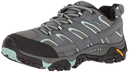 Merrell Women's Moab 2 Gtx Hiking Shoe, Sedona Sage, 8 M US