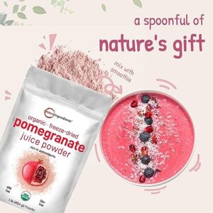 Organic Pomegranate Juice Powder, 1 Pound | 100% Natural Fruit Powder | Freeze Dried & Cold Pressed | No Sugar & Additives | Great Flavor for Drinks, Smoothie, & Beverages | Non-GMO & Vegan Friendly