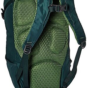 Kelty Redtail 27 Backpack, Ponderosa Pine
