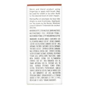 WELL PEOPLE - Nudist Multi-Use Color Stick | Clean, Non-Toxic Beauty (Nude Peach 11)