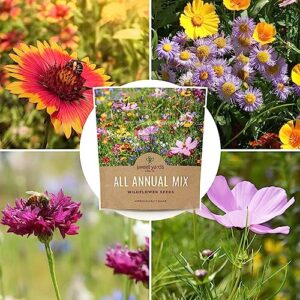 Wildflower Seeds Annual Quick Blooming Mix - Large 1 Ounce Packet Over 7,500 Open Pollinated Seeds