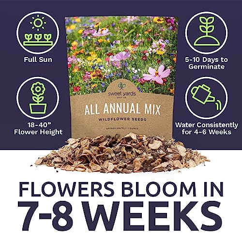 Wildflower Seeds Annual Quick Blooming Mix - Large 1 Ounce Packet Over 7,500 Open Pollinated Seeds