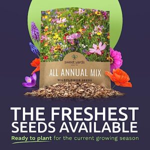 Wildflower Seeds Annual Quick Blooming Mix - Large 1 Ounce Packet Over 7,500 Open Pollinated Seeds