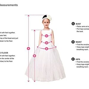 Stunning V-Back Luxury Pageant Tulle Ball Gowns for Girls 2-12 Year Old Pink,Size 10