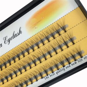 BODERMINCER 10D 60pcs Black Handmade False Eyelashes Natural Long Individual Eyelashes Extension Fake Lashes Makeup Beauty Cosmetic (12mm)