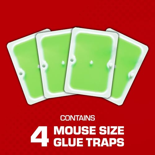 Tomcat Super Hold Glue Traps Mouse Size for Mice, Cockroaches, Spiders, and Scorpions, Ready-To-Use, 4 Traps