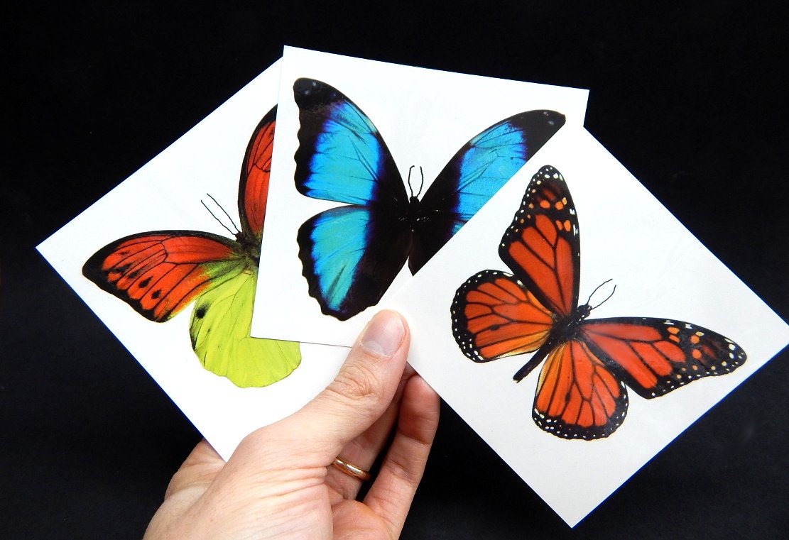 Large Butterfly Temporary Tattoos by Butterfly Utopia (6 Sheets)