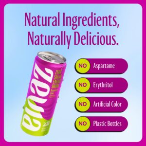 Zevia Zero Calorie Energy Drink, 4-Flavor Classic Variety Pack, 12 Ounce Cans (Pack Of 12)