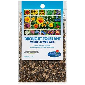 drought resistant wildflower seeds - 1oz, open-pollinated bulk flower seed mix for beautiful perennial, annual garden flowers - no fillers - 1 oz packet sell by dec 2024