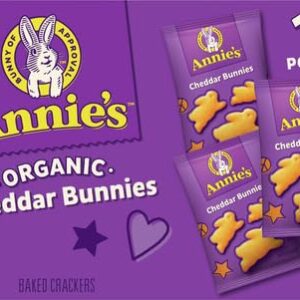 Annie's Organic Cheddar Bunnies Baked Snack Crackers, 12 oz., 12 Pouches (Pack of 4)