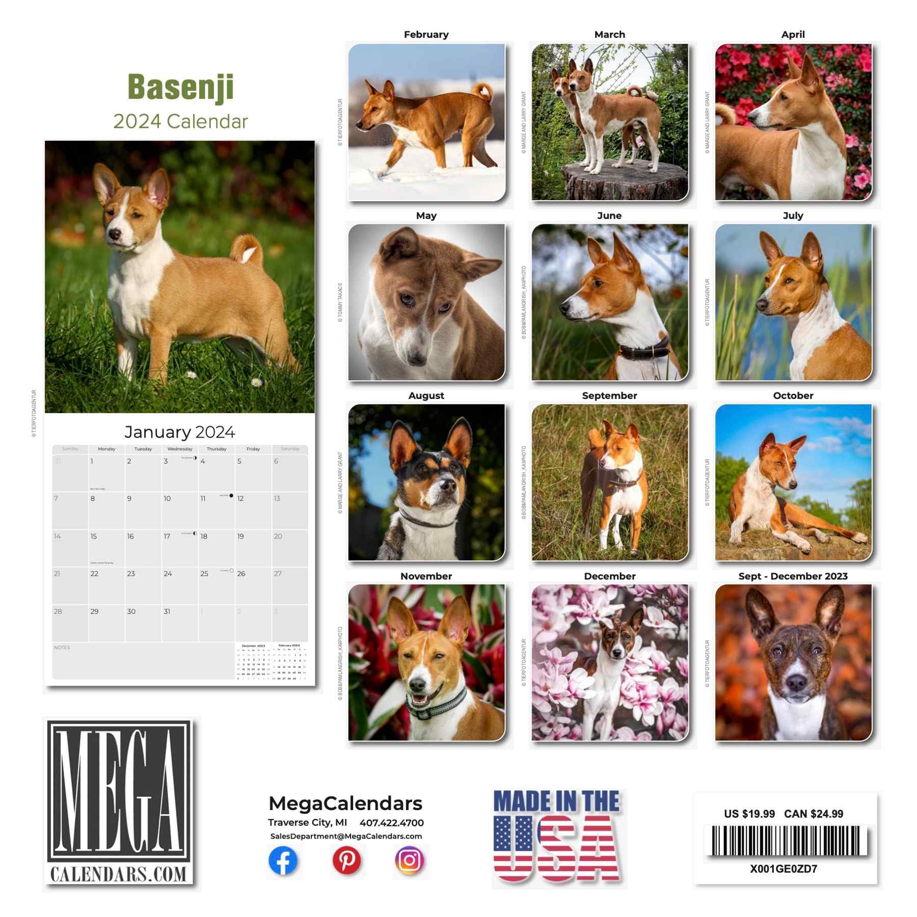 2023 2024 Basenji Calendar - Dog Breed Monthly Wall Calendar - 12 x 24 Open - Thick No-Bleed Paper - Giftable - Academic Teacher's Planner Calendar Organizing & Planning - Made in USA