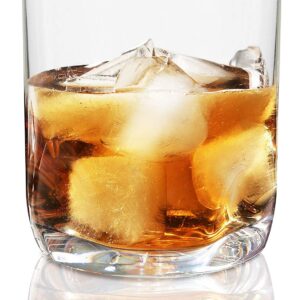 Vivocci Unbreakable Tritan Plastic Rocks 12.5 oz Whiskey & Double Old Fashioned Glasses | Thumb Indent Base | Ideal for Bourbon & Scotch | Perfect For Homes & Bars | Dishwasher Safe | Buy 6 Pay 5