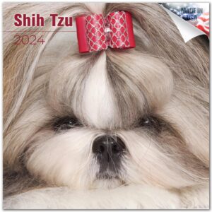 2023 2024 shih tzu calendar - dog breed monthly wall calendar - 12 x 24 open - thick no-bleed paper - giftable - academic teacher's planner calendar organizing & planning - made in usa