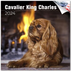 2023 2024 cavalier king charles calendar - dog breed monthly wall calendar - 12 x 24 open - thick no-bleed paper - giftable - academic teacher's planner calendar organizing & planning - made in usa