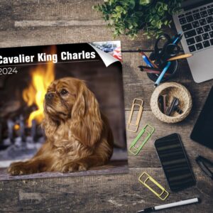 2023 2024 Cavalier King Charles Calendar - Dog Breed Monthly Wall Calendar - 12 x 24 Open - Thick No-Bleed Paper - Giftable - Academic Teacher's Planner Calendar Organizing & Planning - Made in USA