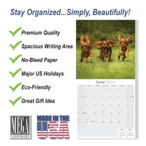 2023 2024 Cavalier King Charles Calendar - Dog Breed Monthly Wall Calendar - 12 x 24 Open - Thick No-Bleed Paper - Giftable - Academic Teacher's Planner Calendar Organizing & Planning - Made in USA