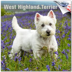 2023 2024 west highland terrier calendar - dog breed monthly wall calendar - 12 x 24 open - thick no-bleed paper - giftable - academic teacher's planner calendar organizing & planning - made in usa