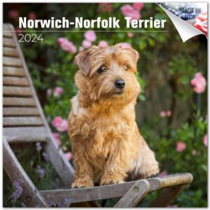 2022 2023 norwich,norfolk calendar,dog breed monthly wall calendar,norwich,norfolks calendar,12x24 opened,thick no-bleed paper,giftable,planner calendar for organizing & planning,made in usa