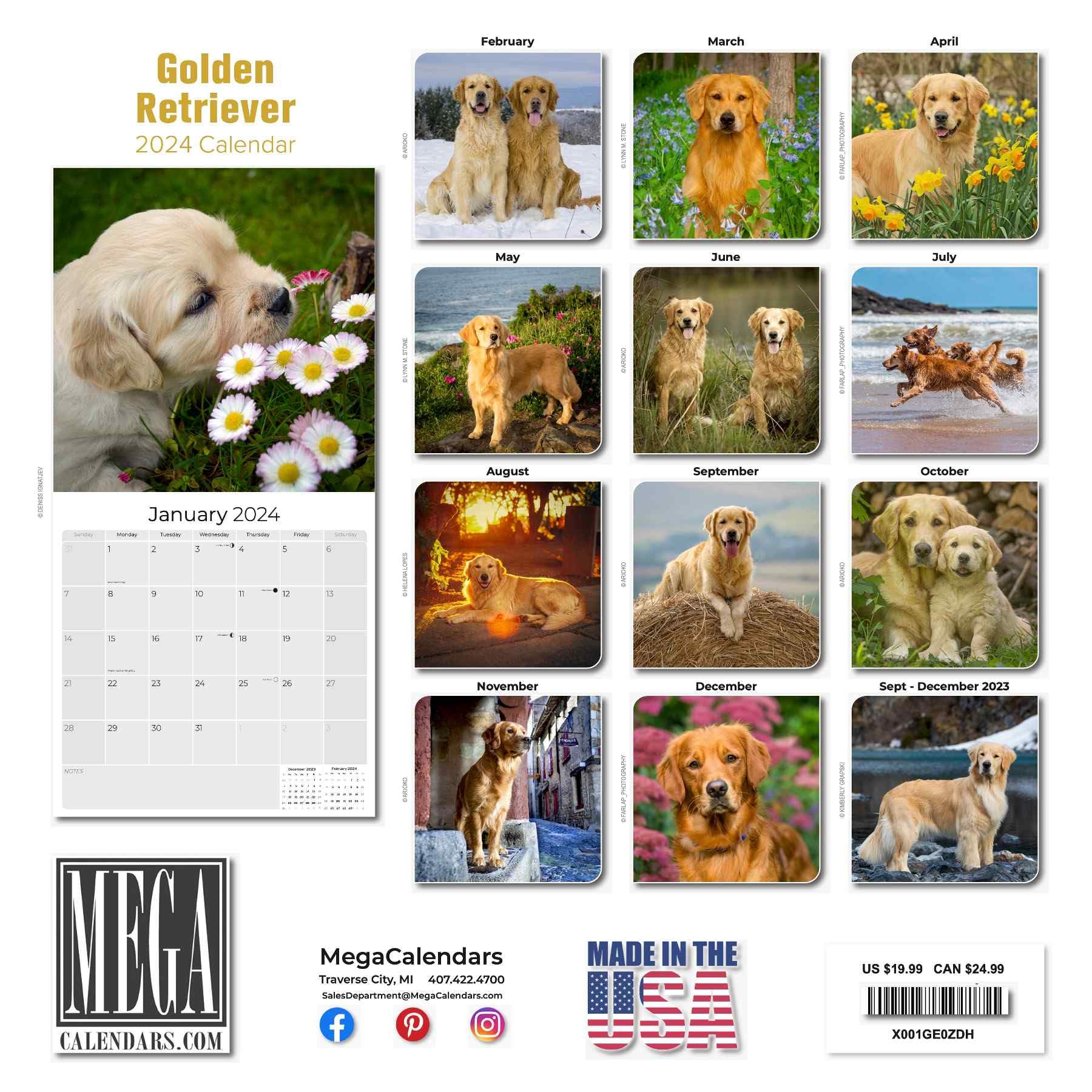 2023 2024 Golden Retriever Calendar - 16 Month FULL SIZE - 12 x 24 Open - Made in USA - Dog Breed Monthly Wall Calendar - Thick No-Bleed Paper - Giftable - Academic Teacher's Planner Calendar