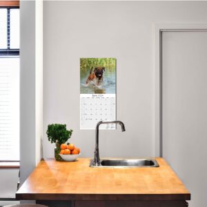 2023 2024 Mastiff Calendar - Dog Breed Monthly Wall Calendar - 12 x 24 Open - Thick No-Bleed Paper - Giftable - Academic Teacher's Planner Calendar Organizing & Planning - Made in USA