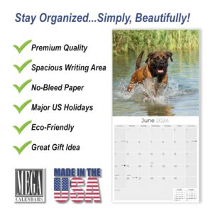 2023 2024 Mastiff Calendar - Dog Breed Monthly Wall Calendar - 12 x 24 Open - Thick No-Bleed Paper - Giftable - Academic Teacher's Planner Calendar Organizing & Planning - Made in USA