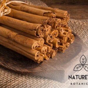 Ceylon Cinnamon Powder (1lb), Ground Premium Quality by Naturevibe Botanicals | Gluten-Free, Keto Friendly & Non-GMO (16 ounces)