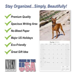 2023 2024 Miniature Pinscher Calendar - Dog Breed Monthly Wall Calendar - 12 x 24 Open - Thick No-Bleed Paper - Giftable - Academic Teacher's Planner Calendar Organizing & Planning - Made in USA