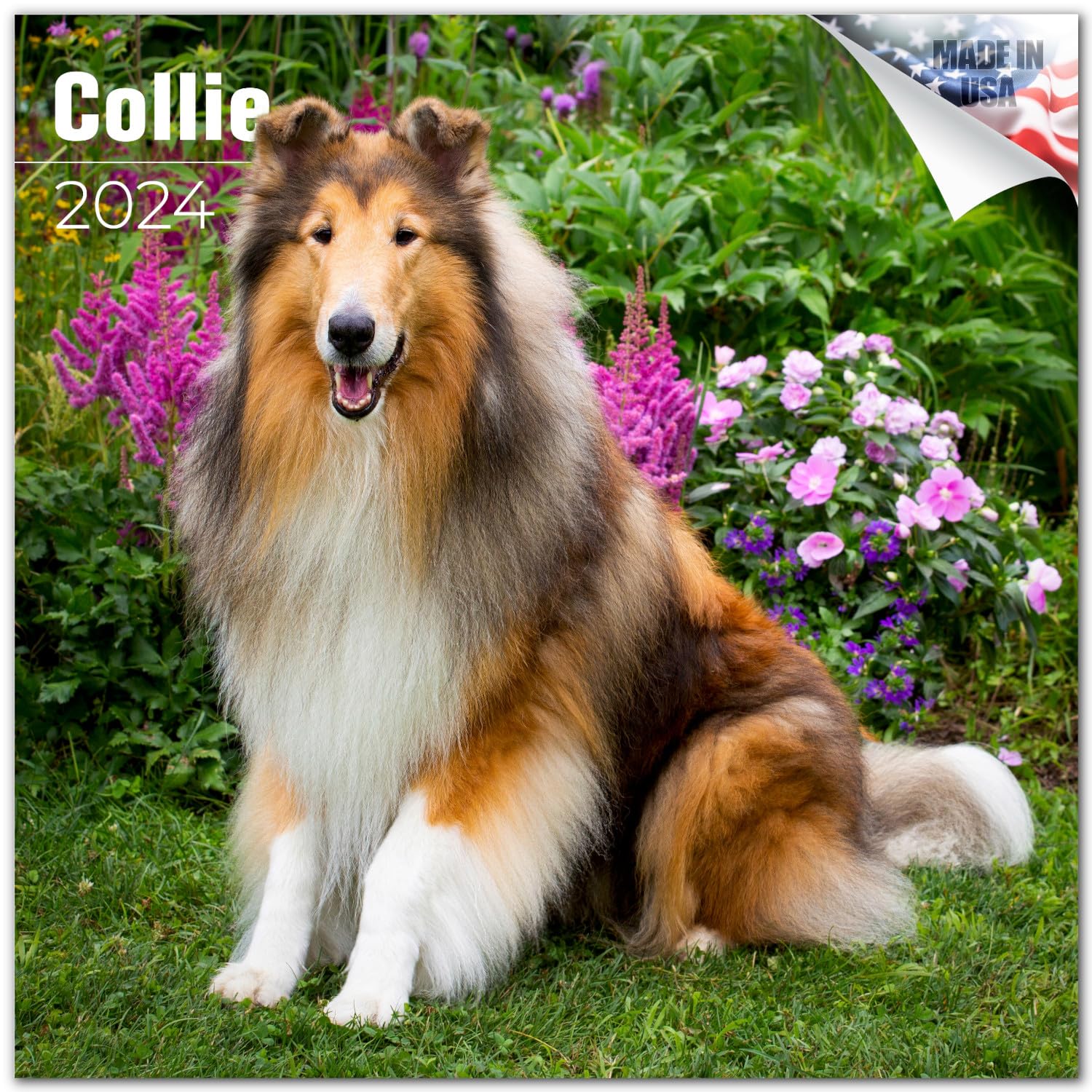 2023 2024 Collie Calendar - Dog Breed Monthly Wall Calendar - 12 x 24 Open - Thick No-Bleed Paper - Giftable - Academic Teacher's Planner Calendar Organizing & Planning - Made in USA